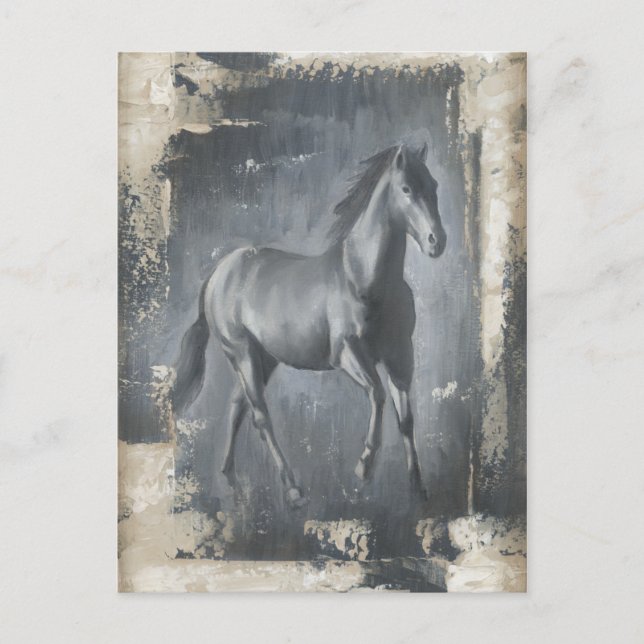 Black Running Stallion Postcard (Front)
