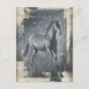 Black Running Stallion Postcard