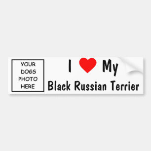 Black Russian Terrier Bumper Sticker