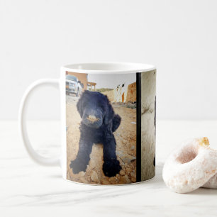 Black Russian Terrier Mug