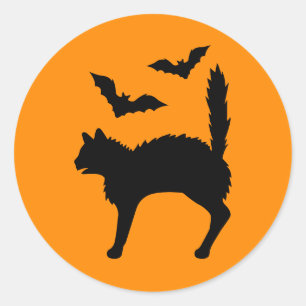 Black Scared Cat With Bats Halloween Orange Classic Round Sticker