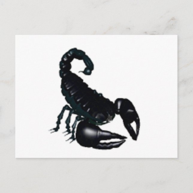 Black Scorpion Postcard (Front)