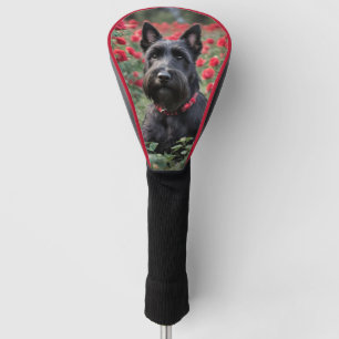 Black Scottish Terrier In Red Roses,  Golf Head Cover