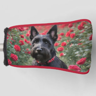 Black Scottish Terrier In Red Roses, Putter Cover