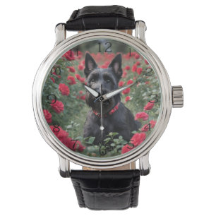 Black Scottish Terrier In The Red Roses, Watch