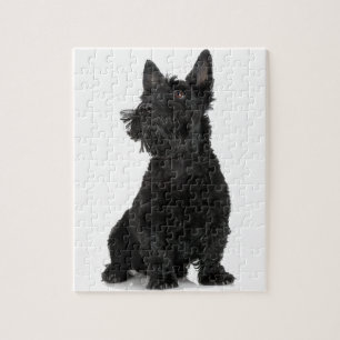Black Scottish Terrier Jigsaw Puzzle