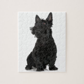 Black Scottish Terrier Jigsaw Puzzle