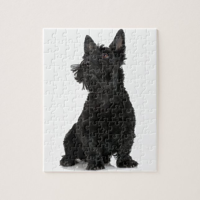Black Scottish Terrier Jigsaw Puzzle (Vertical)