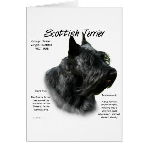 Black Scotty History