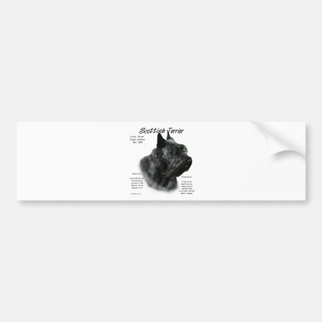 Black Scotty History  Bumper Sticker (Front)
