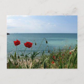Black Sea and Red Poppies Postcard