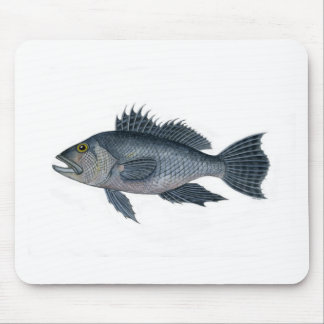 black sea bass 3  signed 2442.jpg mouse pad