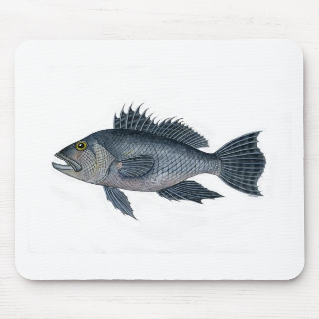 black sea bass 3  signed 2442.jpg mouse pad (Front)