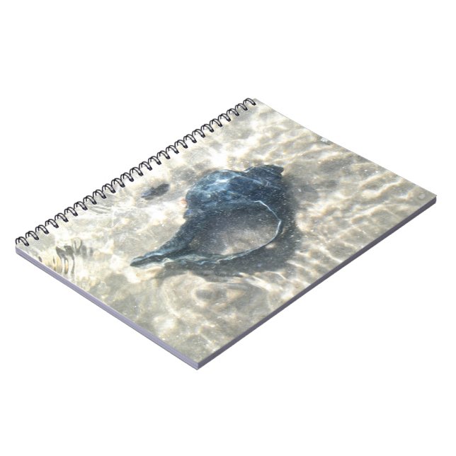 Black Seashell Notebook (Left Side)