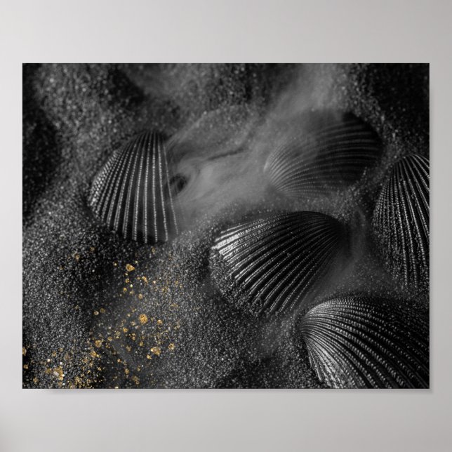 Black Seashells and Sand Tropical Printable Art  Poster (Front)