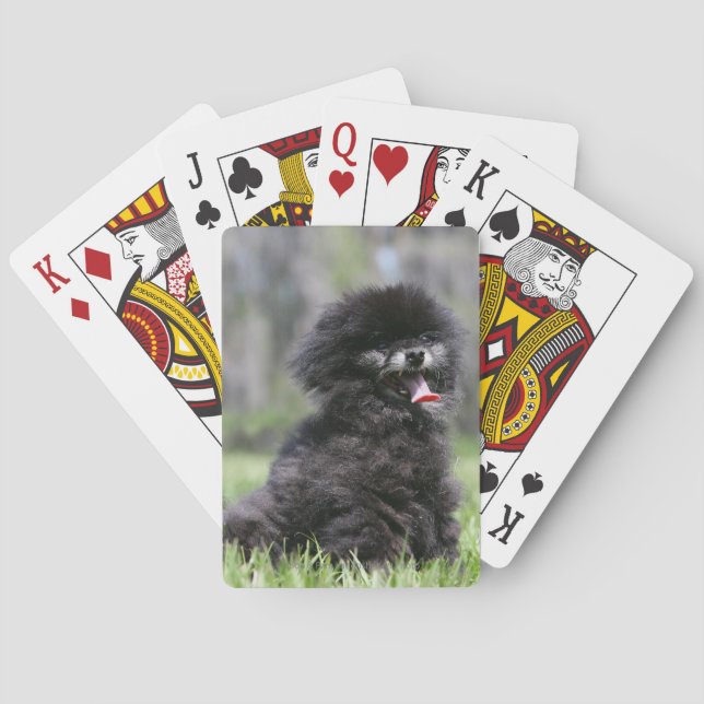 Black Senior Pomeranian Playing Cards (Back)