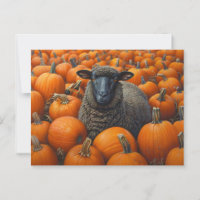 Black Sheep Autumn Pumpkin Patch