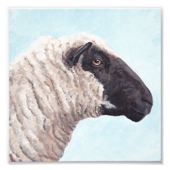 Black Sheep Face II Photo Print (Front)
