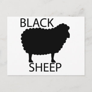 Black Sheep Postcard