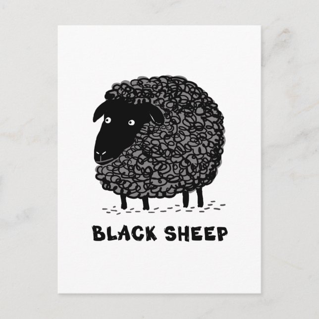 Black Sheep Postcard (Front)