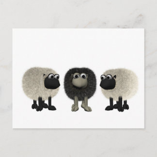 black sheep postcard