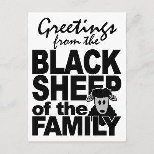 BLACK SHEEP postcard, customize Postcard