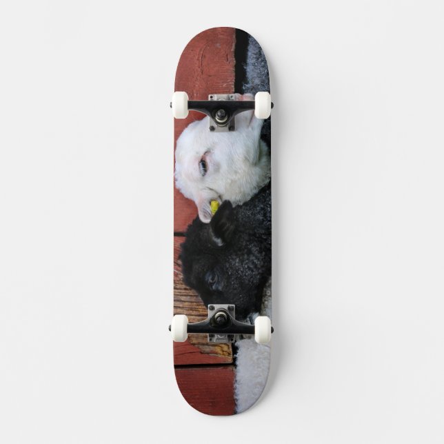 Black Sheep White Sheep Skateboard (Front)