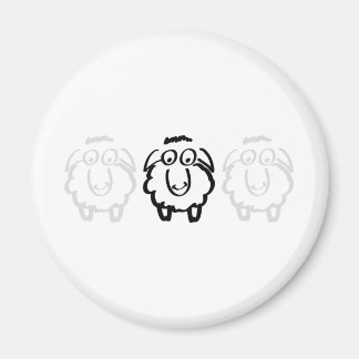 black sheep white sheeps magnet