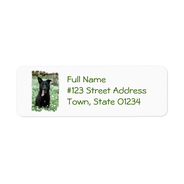 Black Shepherd Mailing Labels (Front)