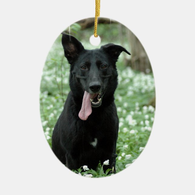 Black Shepherd Ornament (Front)