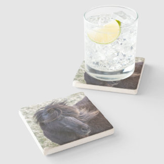 Black Shetland Pony Coaster