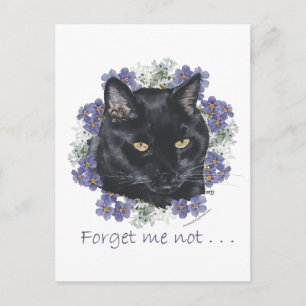 Black Shorthair Cat Forget-Me-Not Postcard