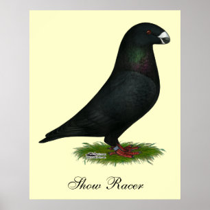 Black Show Racer Poster