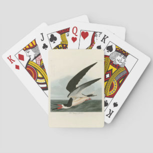 Black Skimmer, Shearwater Audubon Birds of America Playing Cards