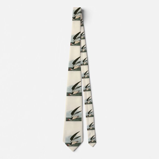 Black Skimmer, Shearwater Audubon Birds of America Tie (Front)