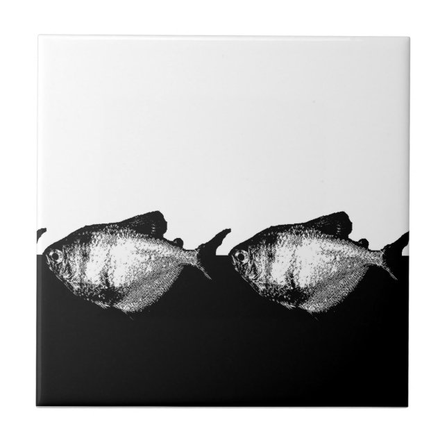Black Skirt Tetra Fish in a Line Tile (Front)