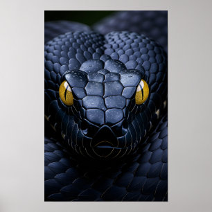 Black Snake Poster