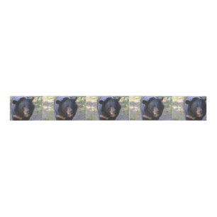 Black Spectacled Bear Grosgrain Ribbon