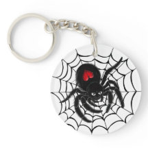 Black Spider in Web