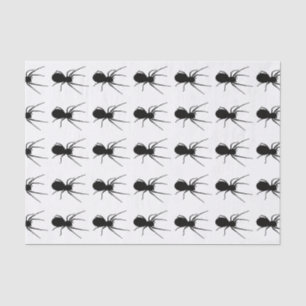 Black Spider Tissue Paper