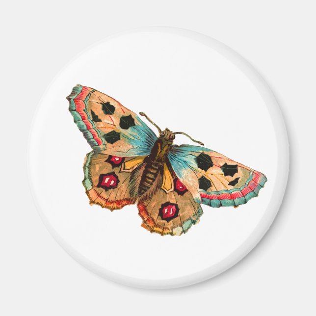 Black Spotted Butterfly Magnet (Front)