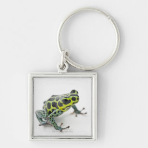 Black Spotted Green Poison Dart Frog Keychain