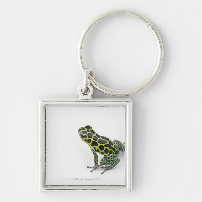 Black Spotted Green Poison Dart Frog Keychain (Front)