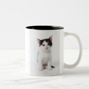 Black Spotted Kitten Two-Tone Coffee Mug