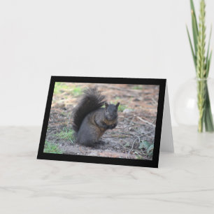 Black Squirrel Greeting Card