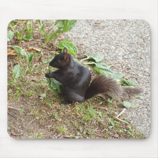 Black Squirrel Mouse Pad (Front)
