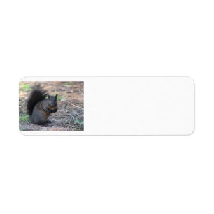 Black Squirrel Return Address Labels