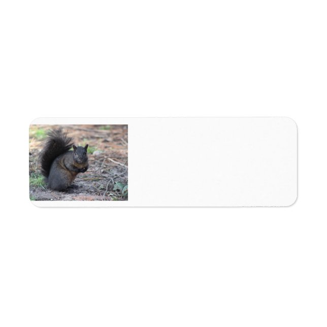 Black Squirrel Return Address Labels (Front)