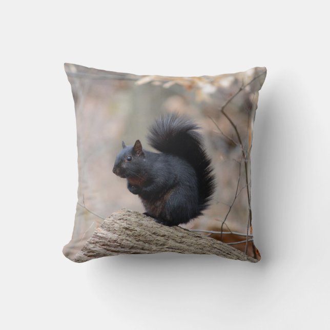 Black Squirrel Woods Throw Pillow (Front)