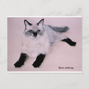 Black Stalkings ... Postcard